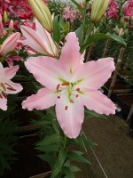 [5360 Spalding DJ No01.JPG]